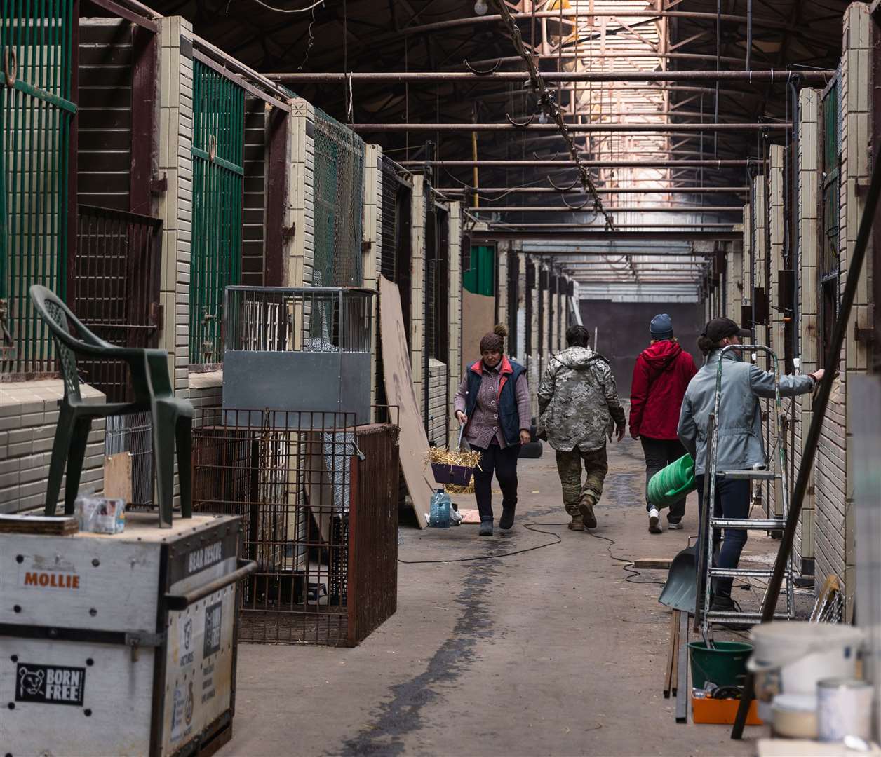 The Wild Animal Rescue Centre in Kyiv, Ukraine. Picture: Wild Animal Rescue Centre