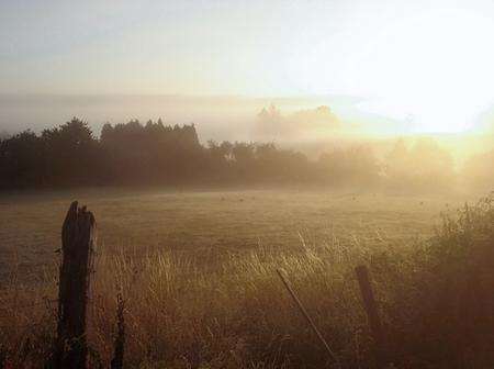 Leeds, Maidstone. taken at 5.30am as the sun was rising, by Mr Paul Ray