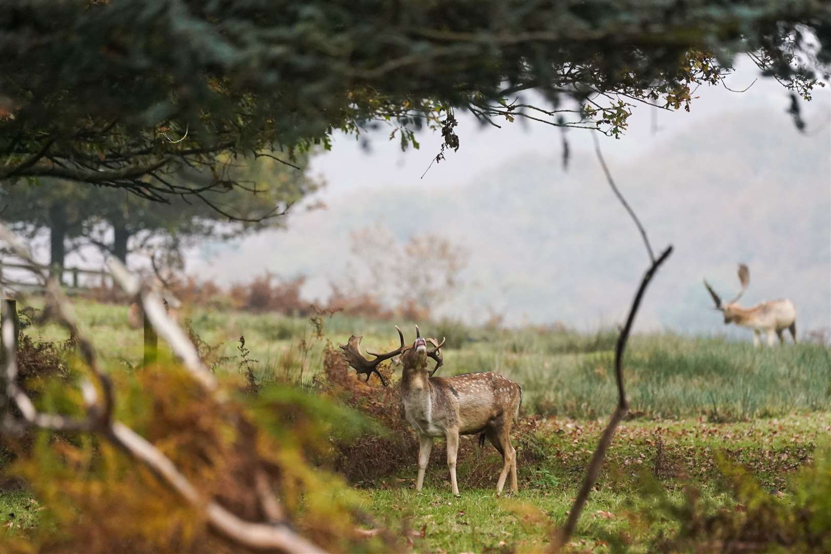 Lower temperatures are expected this week after a warmer than average early November (Jacob King/PA)