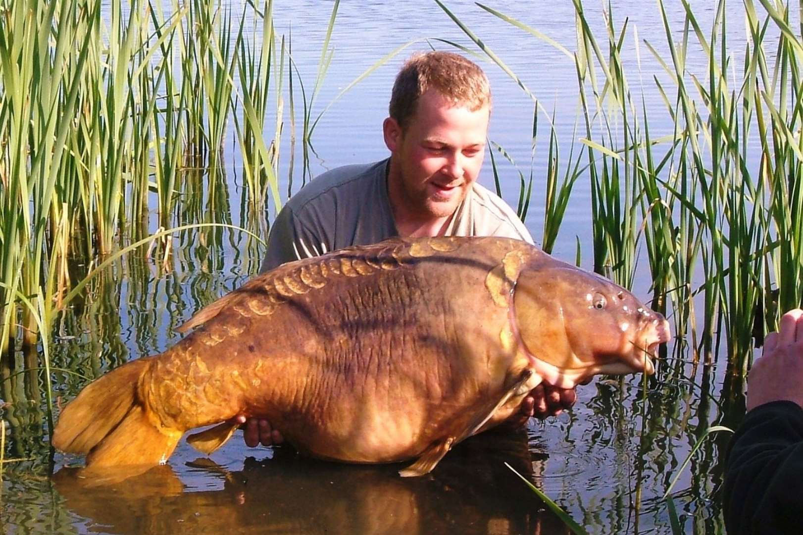 Two Tone the one-time biggest carp in the country