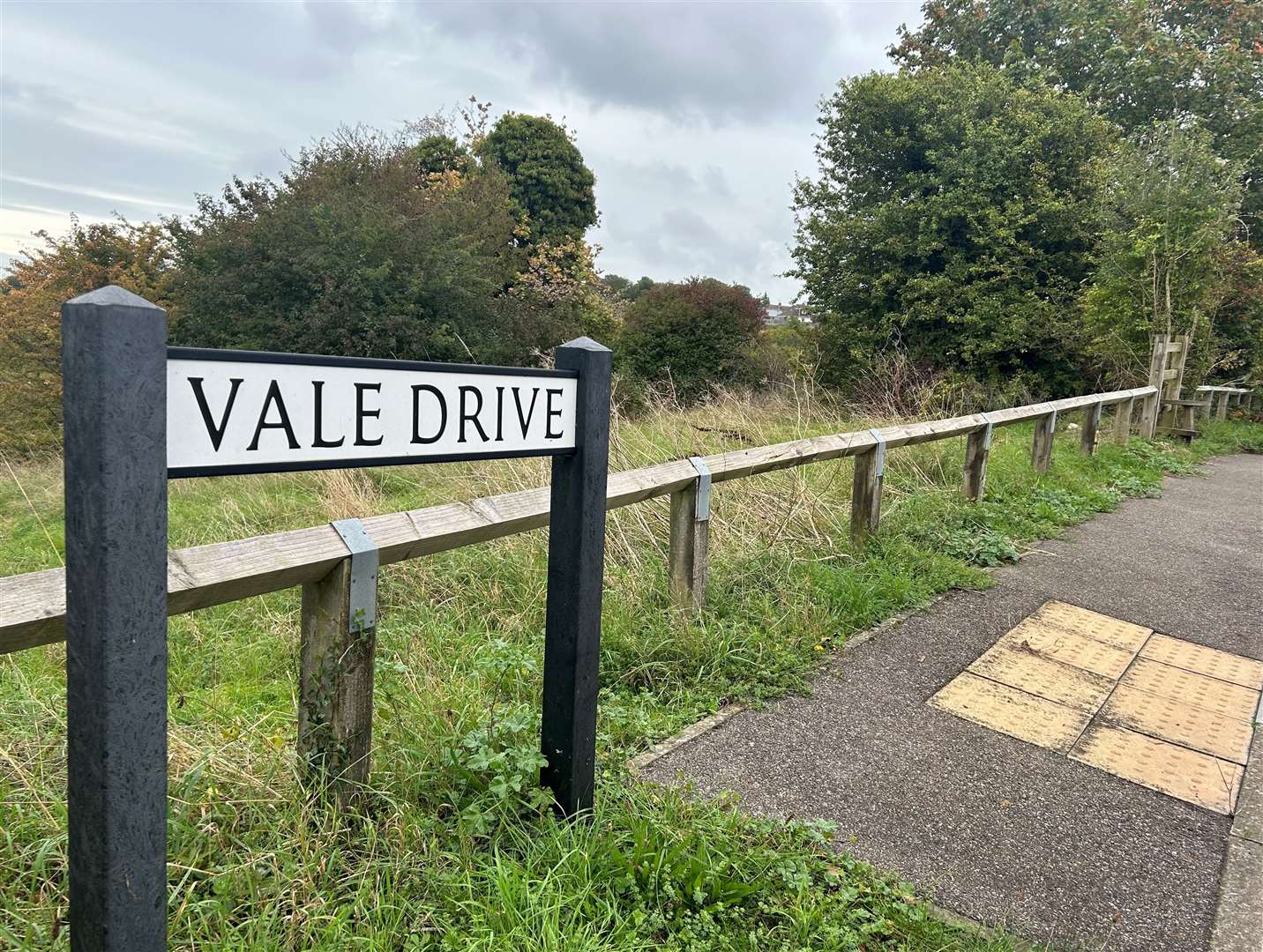 The incident took place in a wooded area in Vale Drive, Chatham, on September 5, 2023