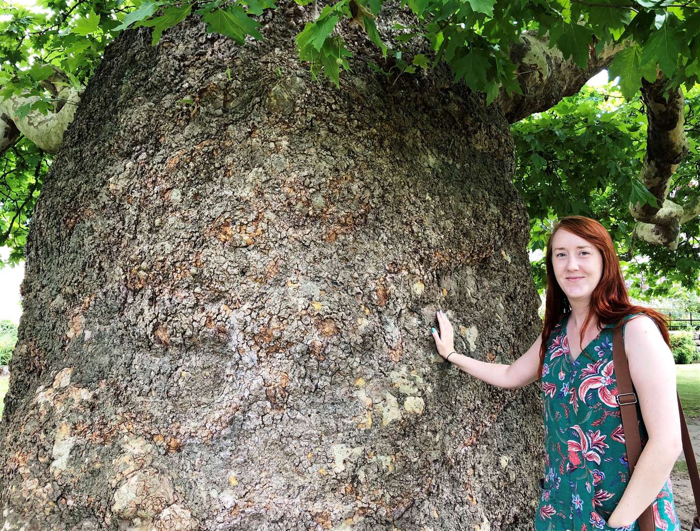 Sadie Palmer next to the Baobab in Westgate Gardens