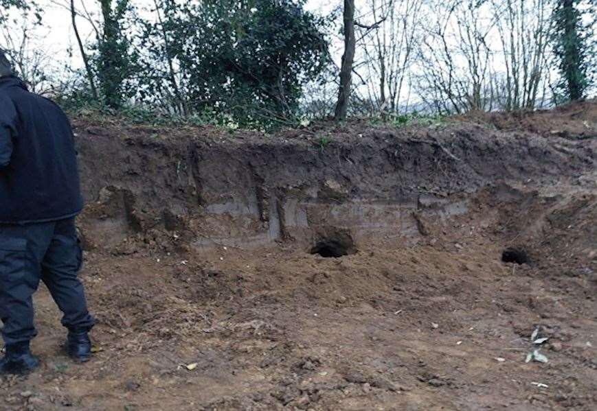 Mathew Bryan and Anthony Merrett fined for illegally digging up badger setts on Romney Marsh