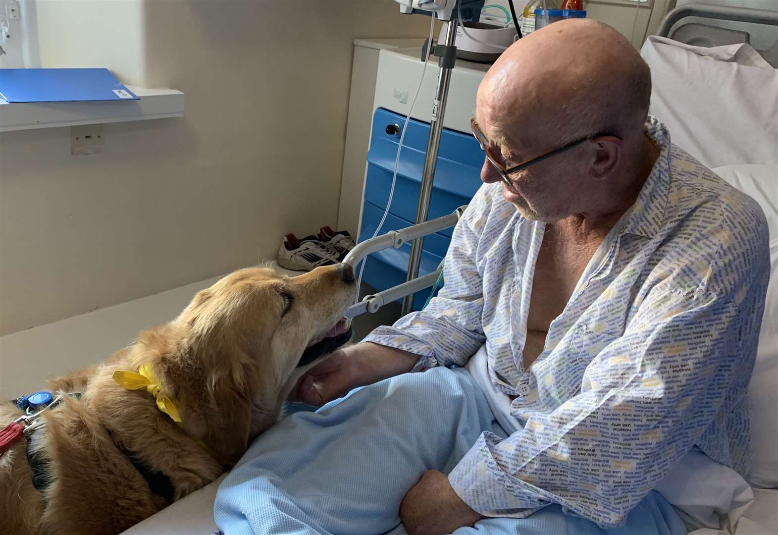 are assistance dogs allowed in hospitals