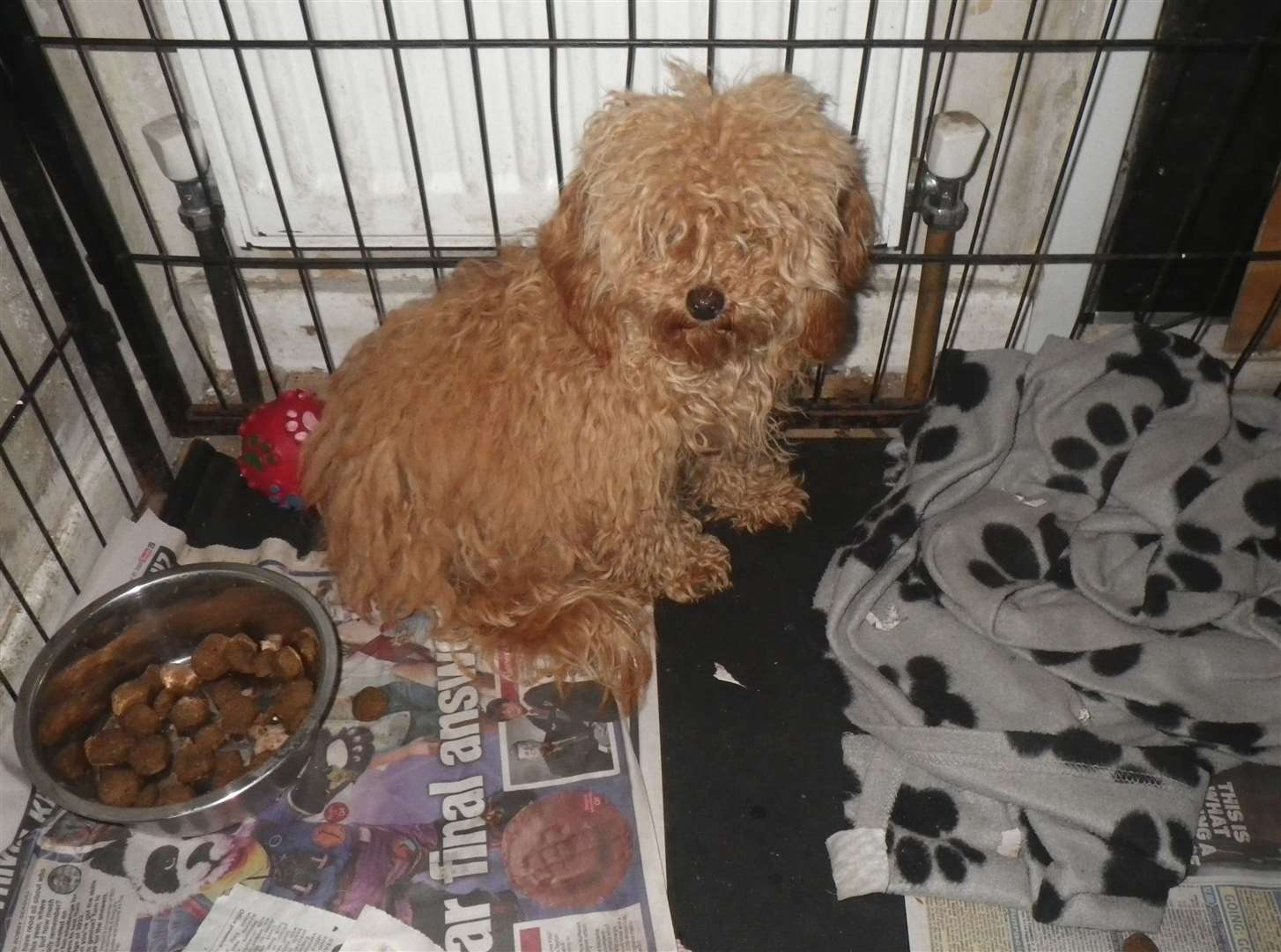 Janet Oxlade, from the Isle of Sheppey, avoided jail after she was found owning neglected animals despite being banned. Picture: RSPCA