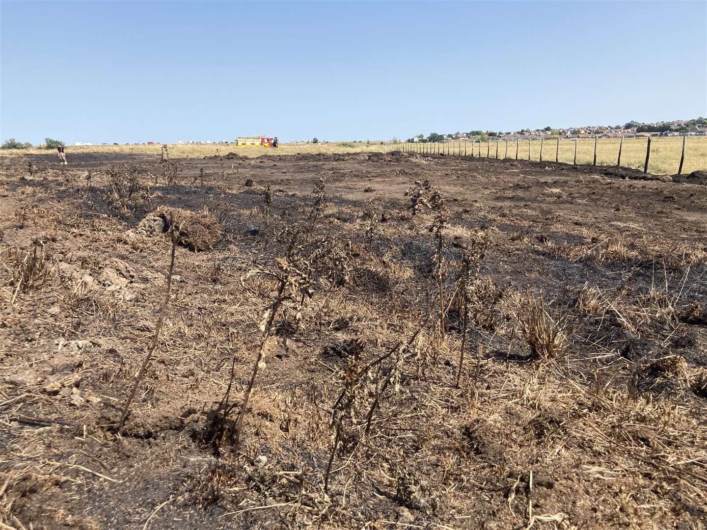 Charred ground at Barton's Point, Sheerness. Picture: John Nurden