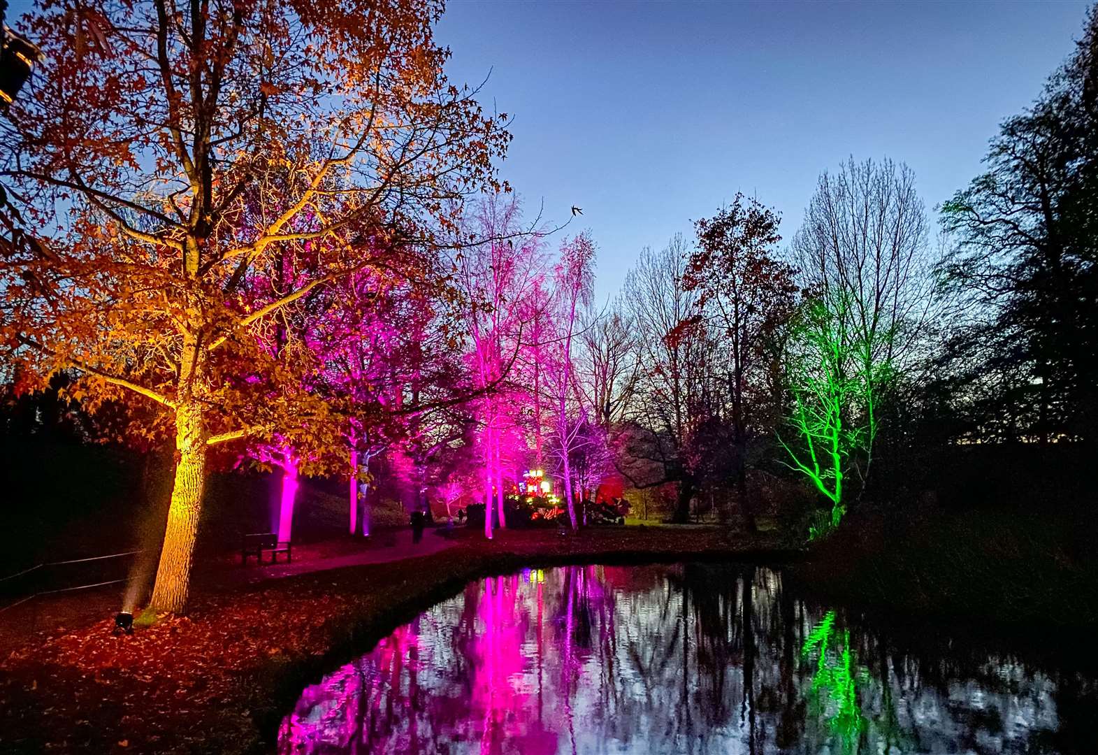 We review the Christmas at Leeds Castle light trail, a new festive event from the team behind