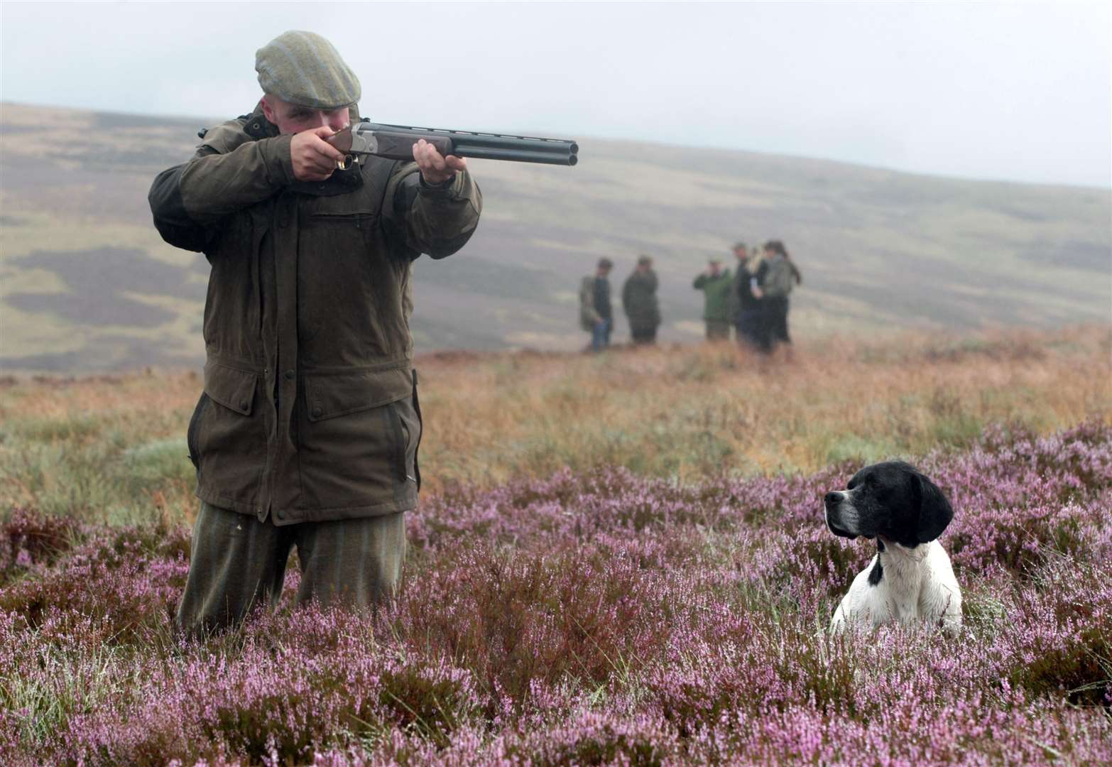 Huge swathes of national park are devoted to grouse shooting, according to Rewilding Britain (David Cheskin/PA)