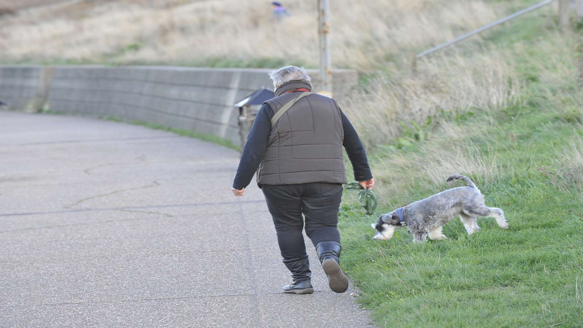 A dog walker who has cleaned up after their dog