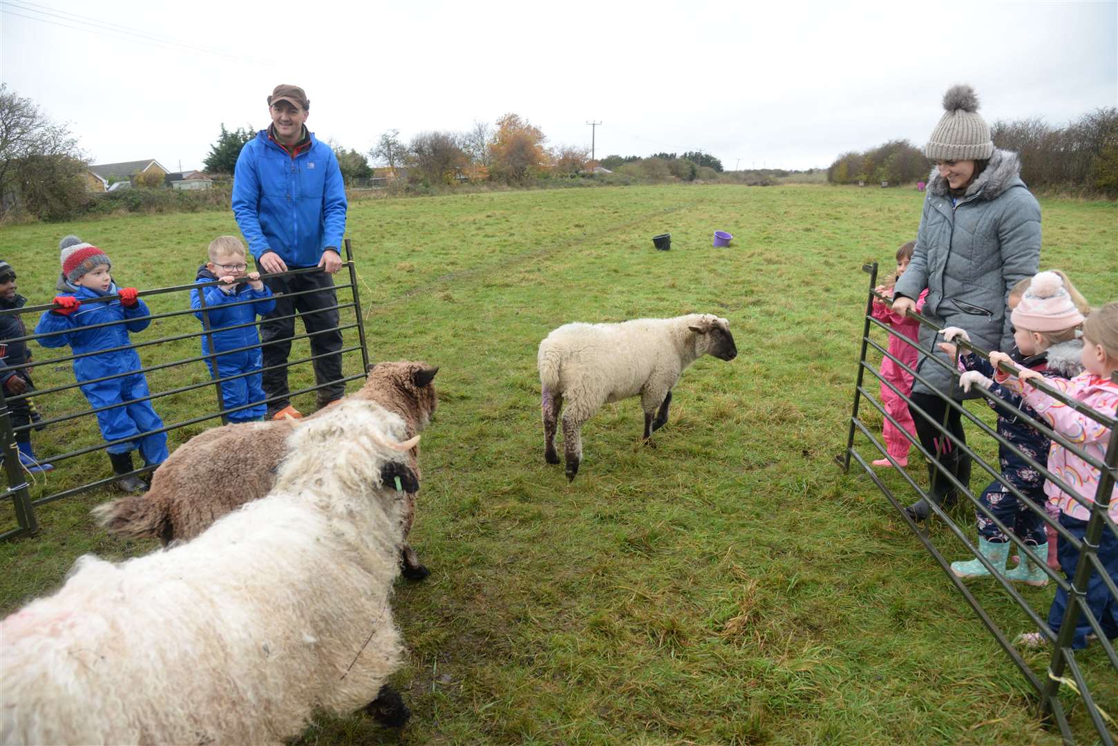 Budding young farmers from Queenborough School at Curly's Farm before lockdown