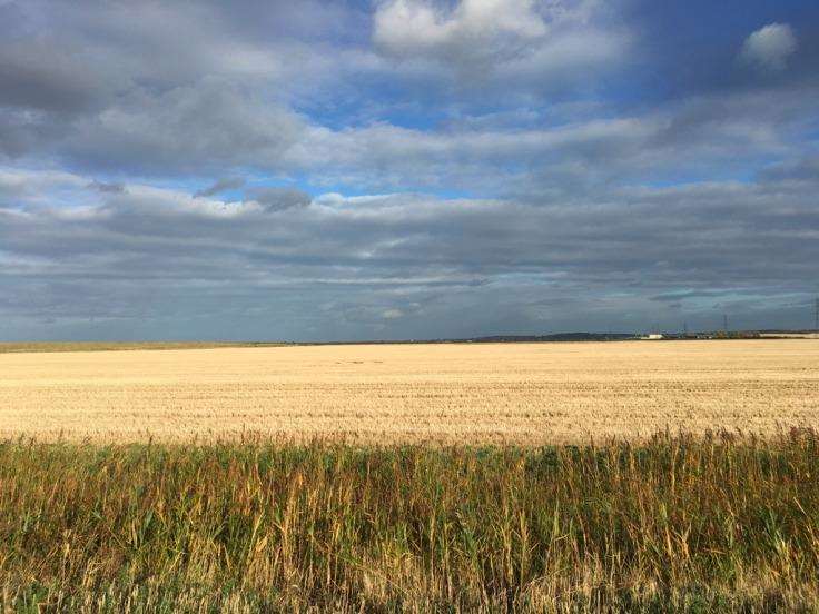 Graveney Marsh