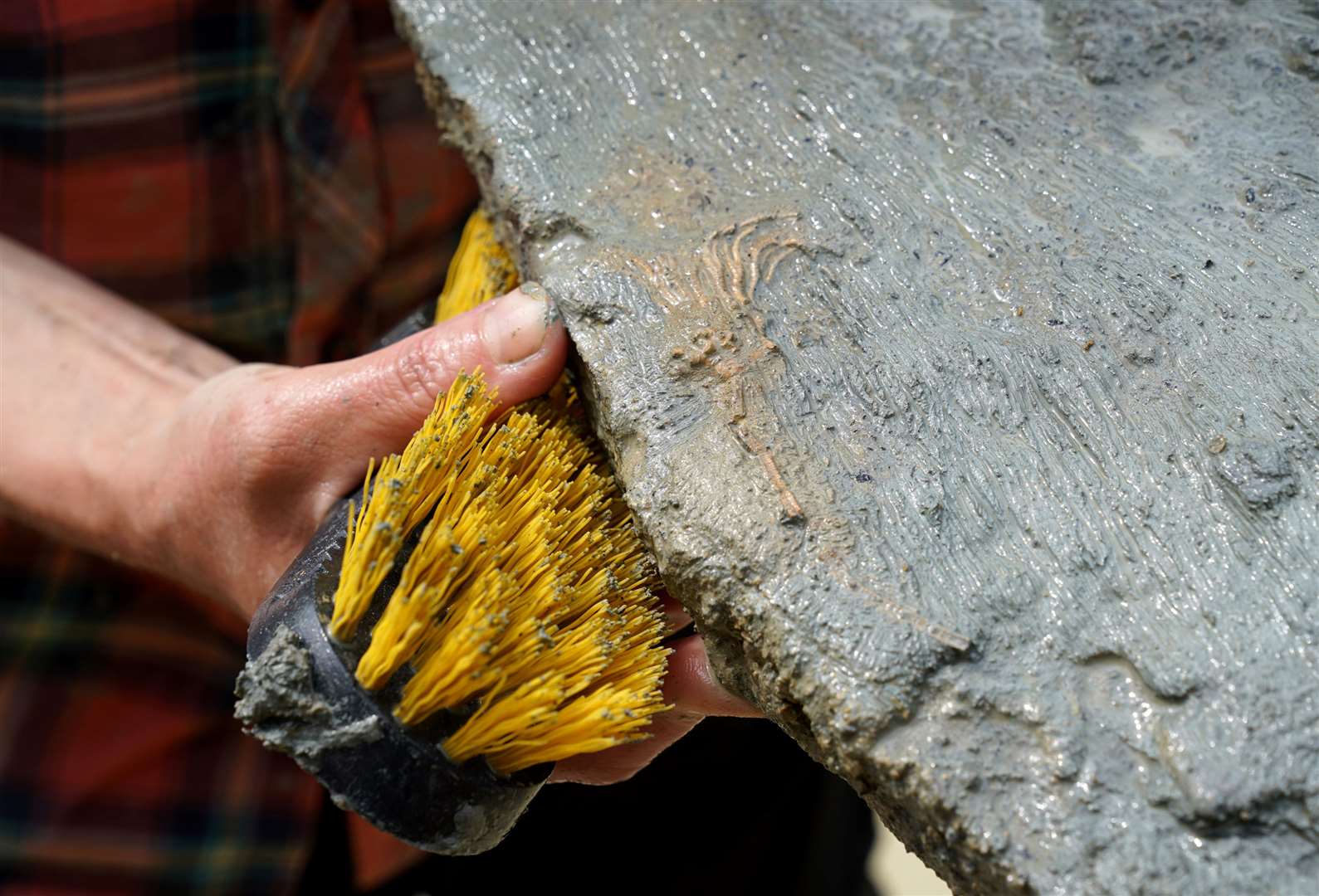 A paleontologist from the Natural History Museum cleans a slab containing an isocrinus fossil (Andrew Matthews/PA)