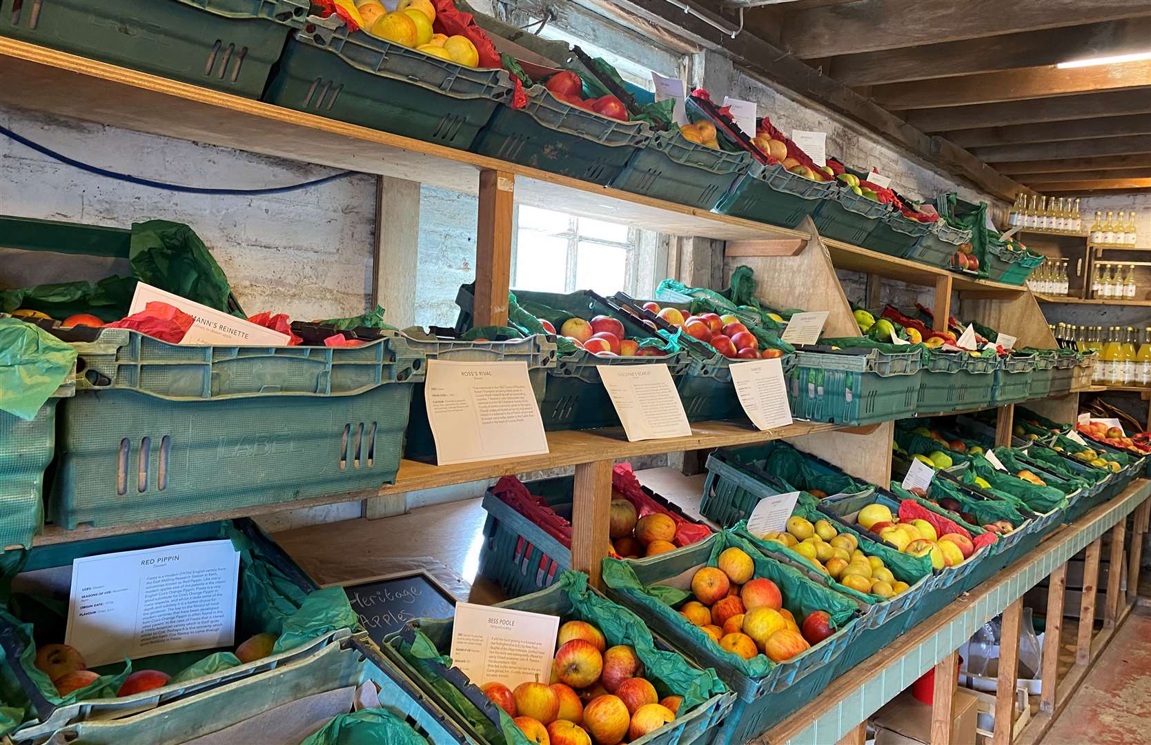 An incredible spread and variety of apples and pears at Perry Court really highlights the best in season produce available there