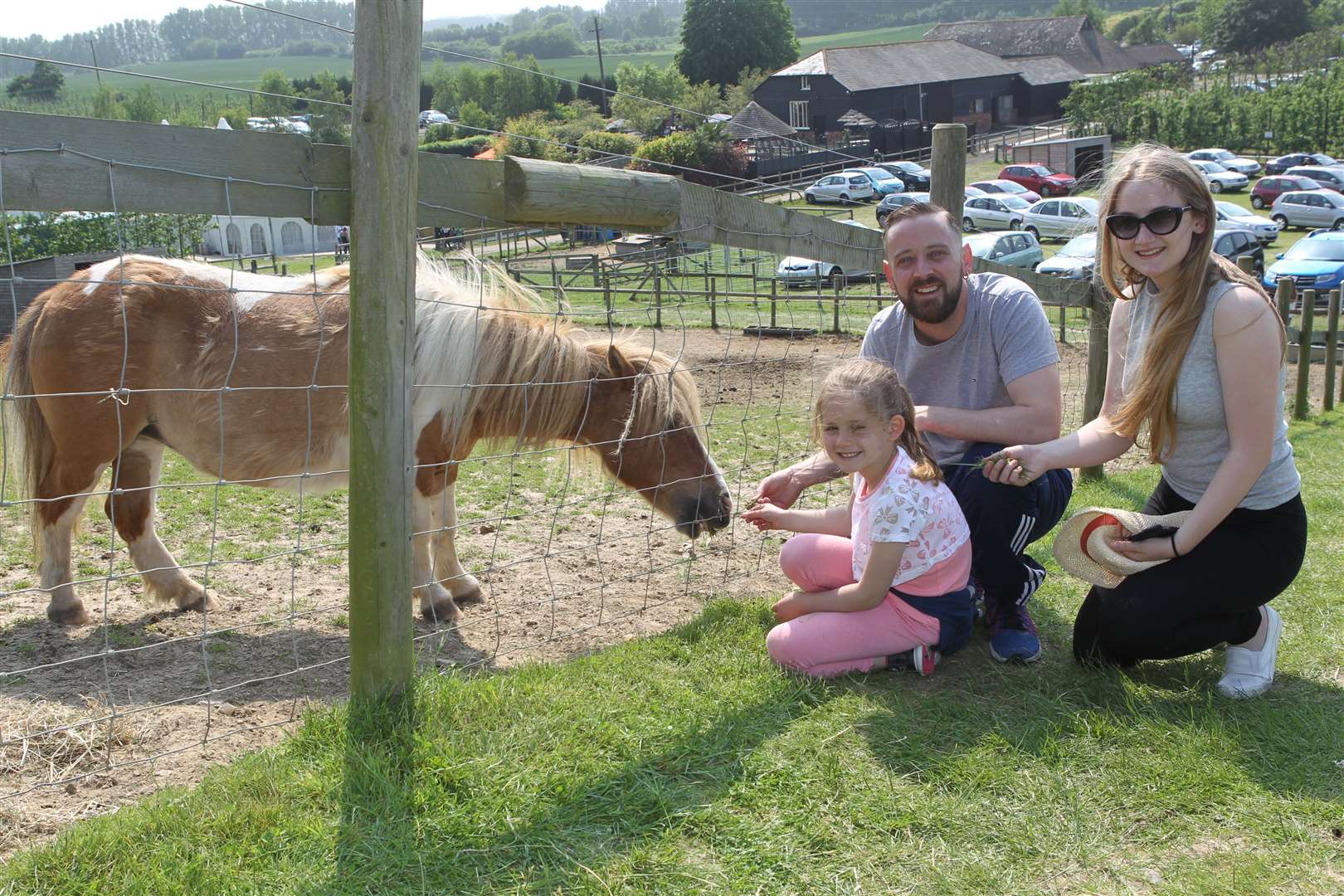 One of the open days before the The BarnYard closed its farm. Picture: John Westhrop