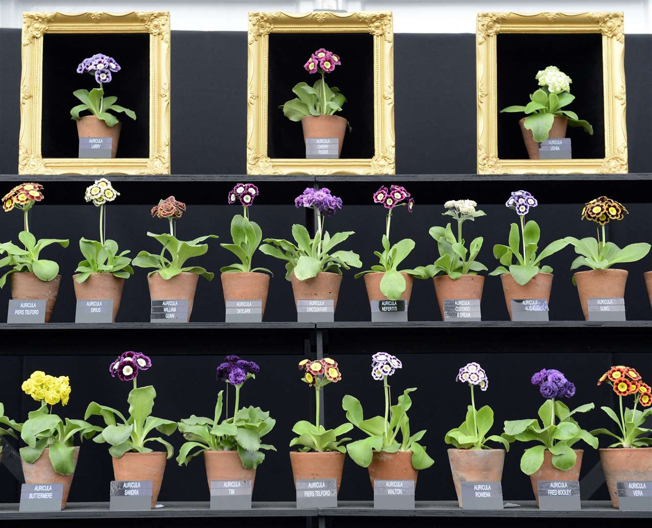 A floral display by W&S Lockyer from Purley, Surrey in 2015 (PA)