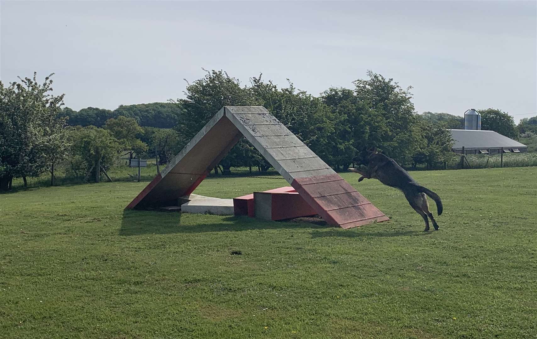 Keeler gets some training on the obstacle course