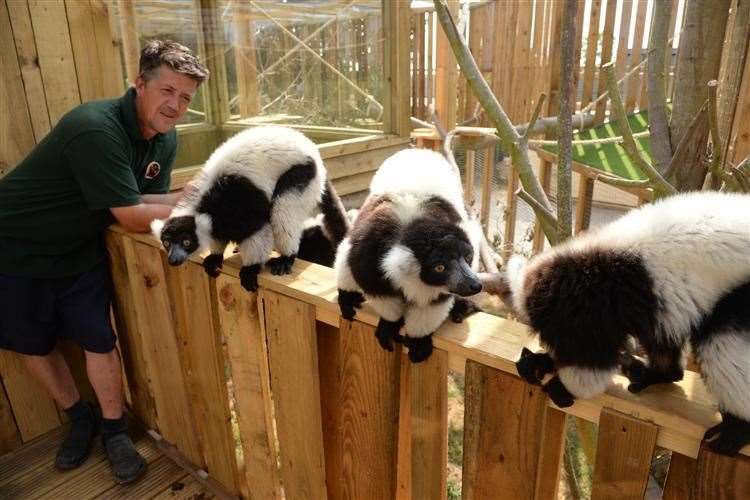 Andy Cowell with the lemurs at the Fenn Bell Inn