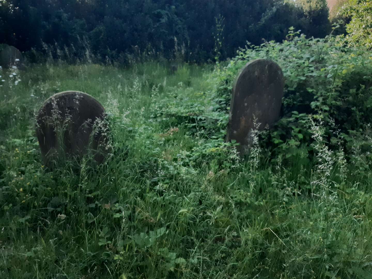 Graves in Oakwood Cemetery, Maidstone