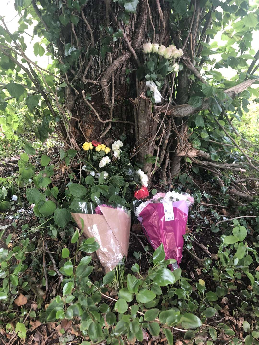 Floral tributes left at the scene of the crash (Eleanor Barlow/PA)