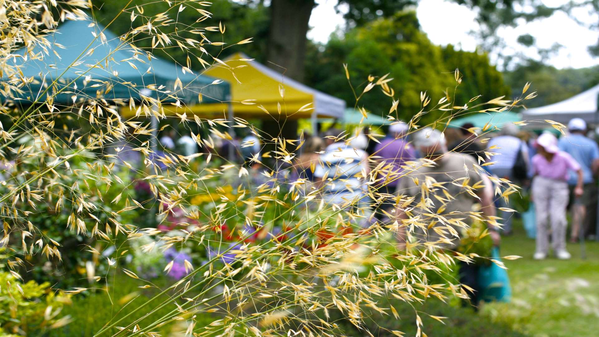 Great Comp Garden in Borough Green is holding its Summer Show