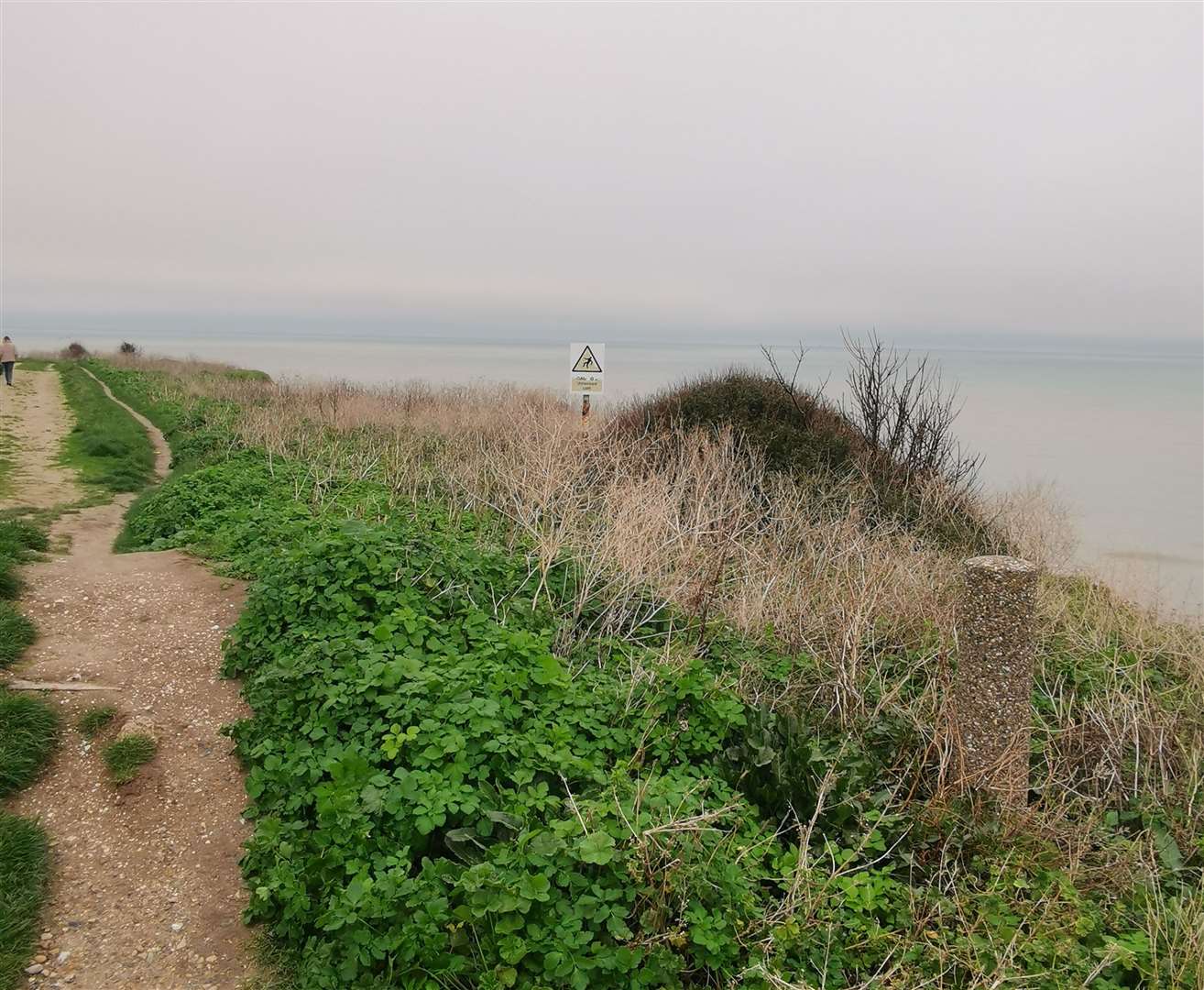 The woman is calling for railings to be installed along the footpath, where it passes close to the cliff's edge. Picture: Marijke Hall