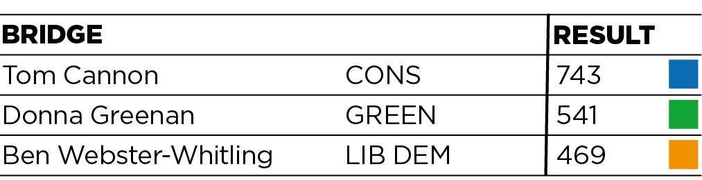 How Bridge ward voted (46947283)