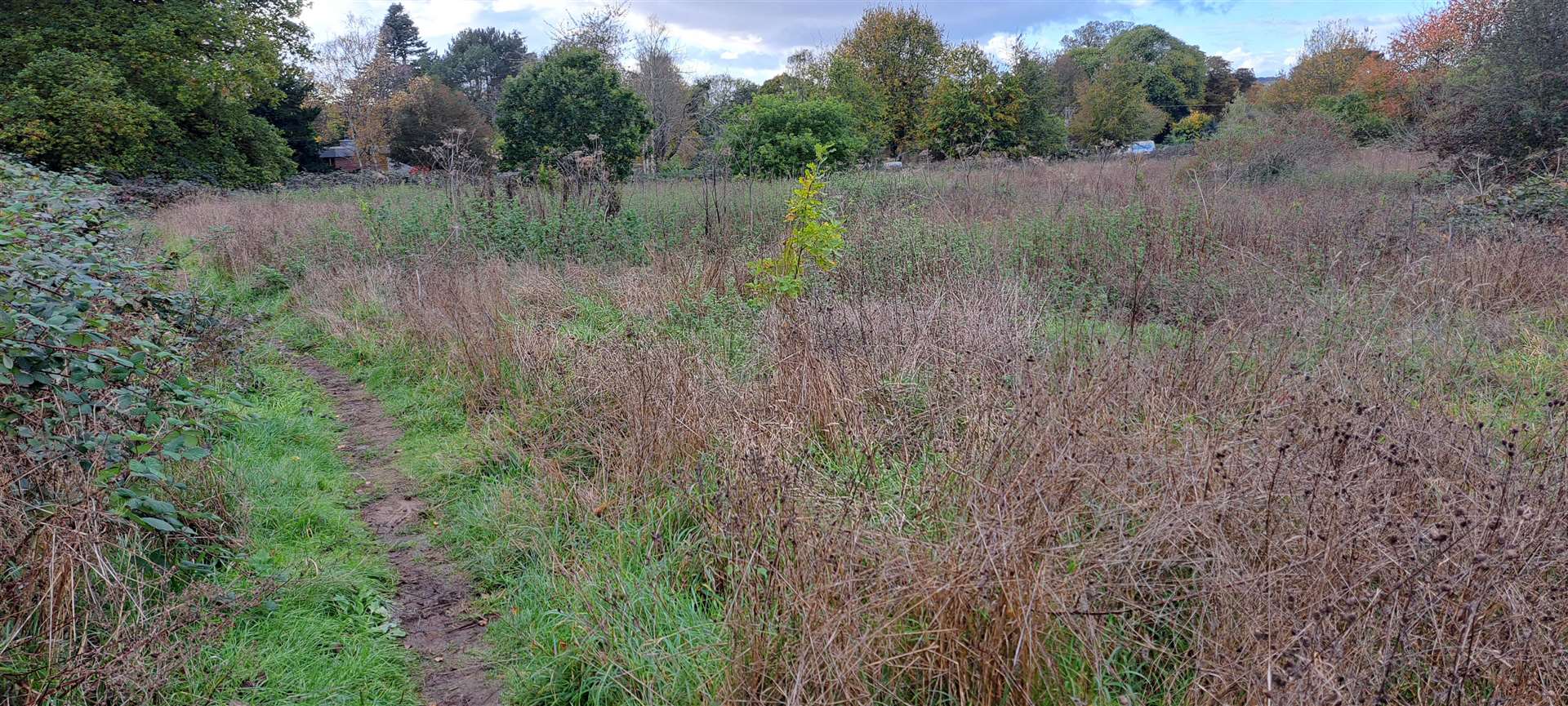 The site earmarked for nine homes