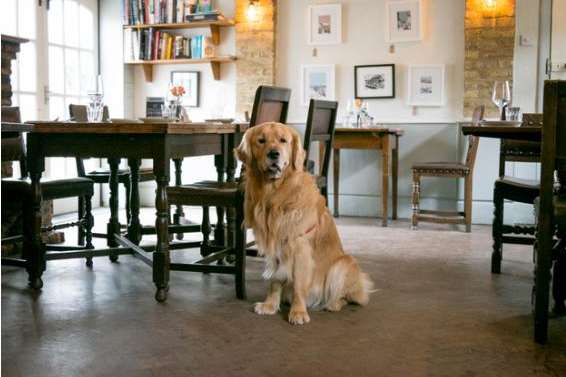 The Corner House in Minster is now dog-friendly