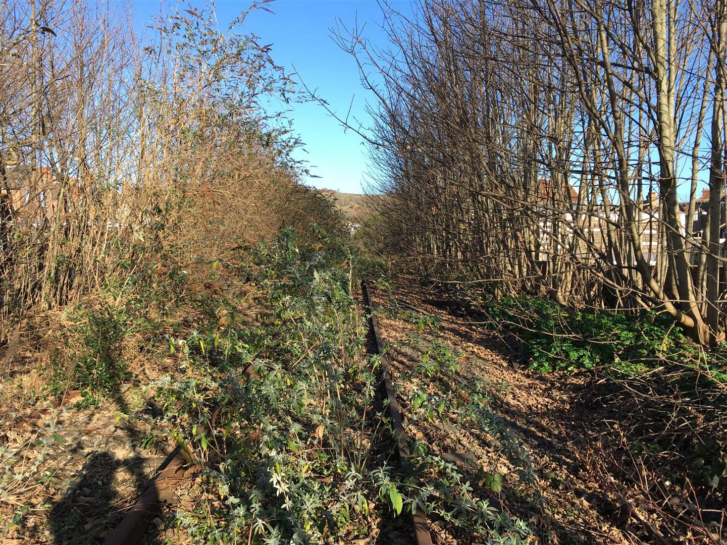 The disused Harbour Line in Folkestone. Credit: Network Rail (6737535)