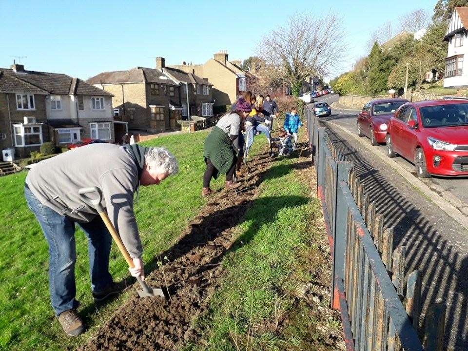 Residents lent a hand to plant the bushes. Picture: Jenny Holliday