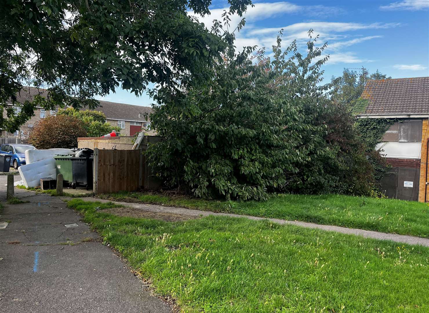 Residents do not want to see any more bushes or trees destroyed in Leonard Avenue in Swanscombe