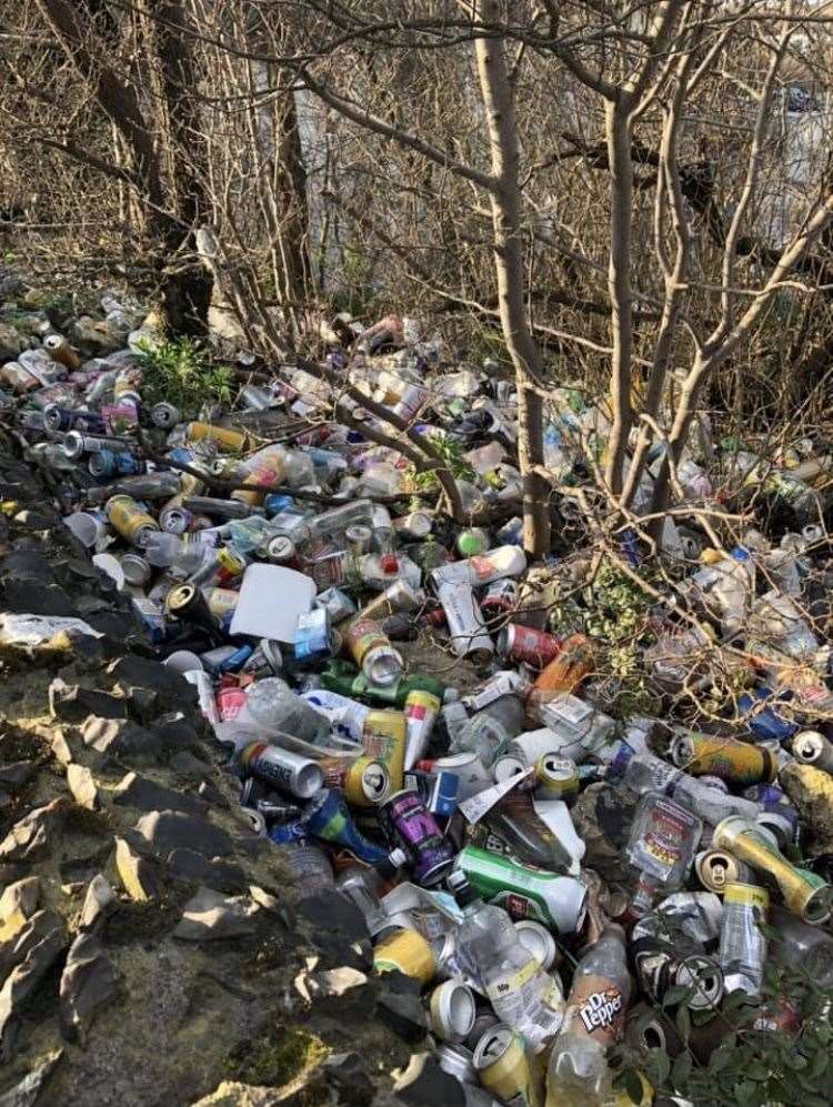 The area before the team tackled the litter problem. Picture: Cllr David Mote