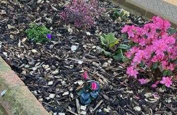 Vandals removed and stole flowers from planters in Sheerness. Picture: Sheerness Town Council Facebook