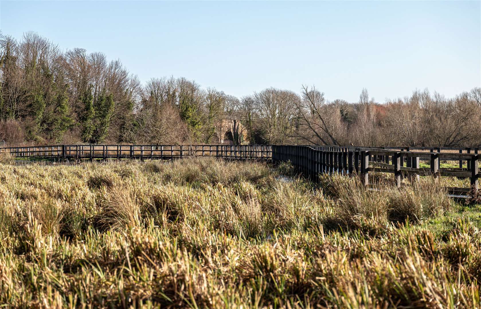 The boardwalk before the fire, pictured three weeks ago. Picture: Sian Pettman (29358805)