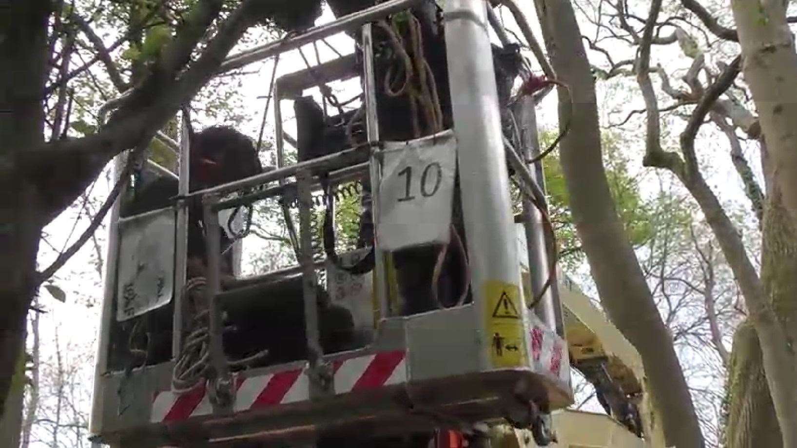 Cuciurean (left), in a cherry picker, after he had been brought down from a tree at Crackley Woods (HS2 Ltd/PA)