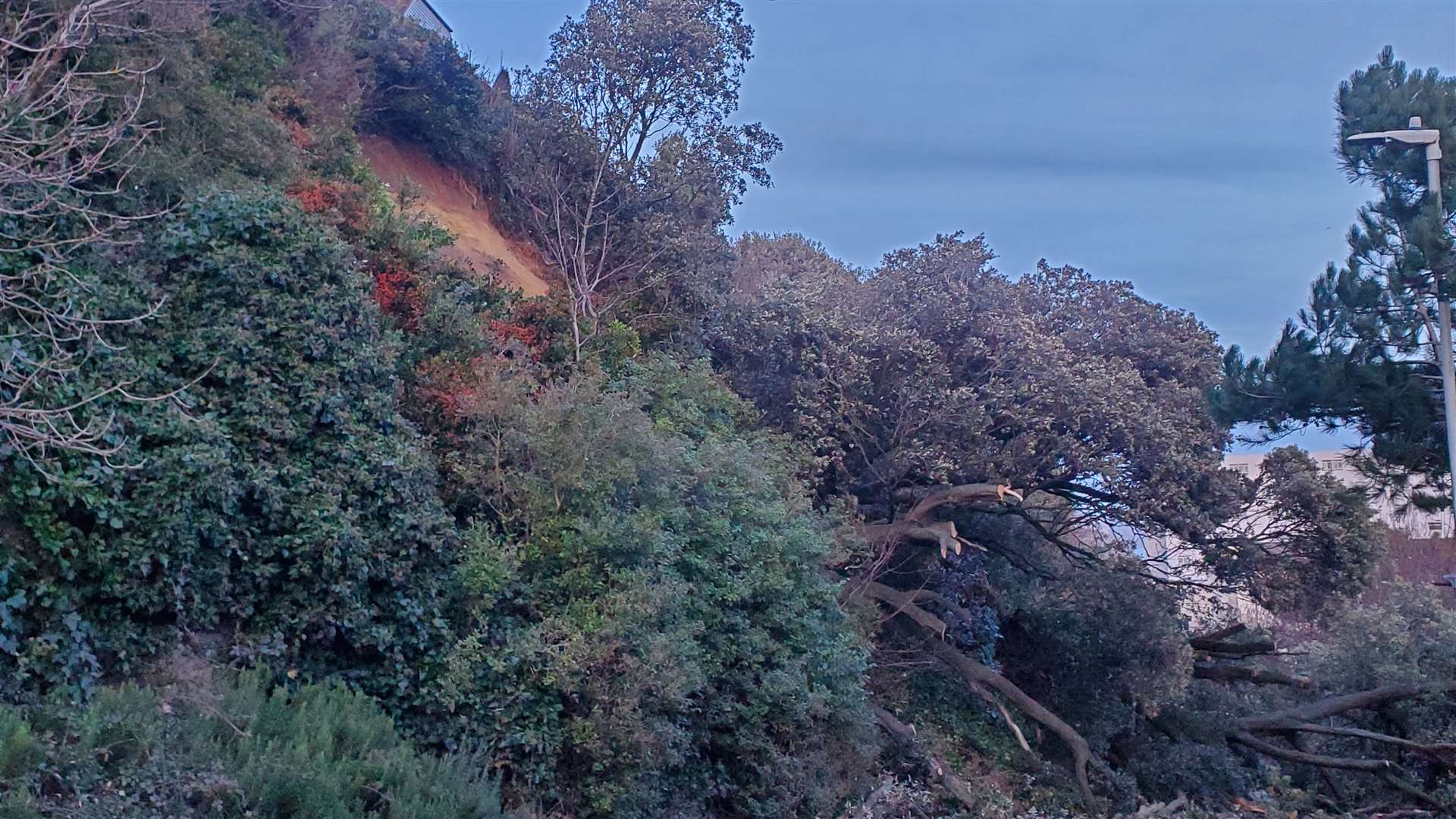 The Road of Remembrance in Folkestone has been blocked by a landslide and fallen trees. Picture: Michael Stainer