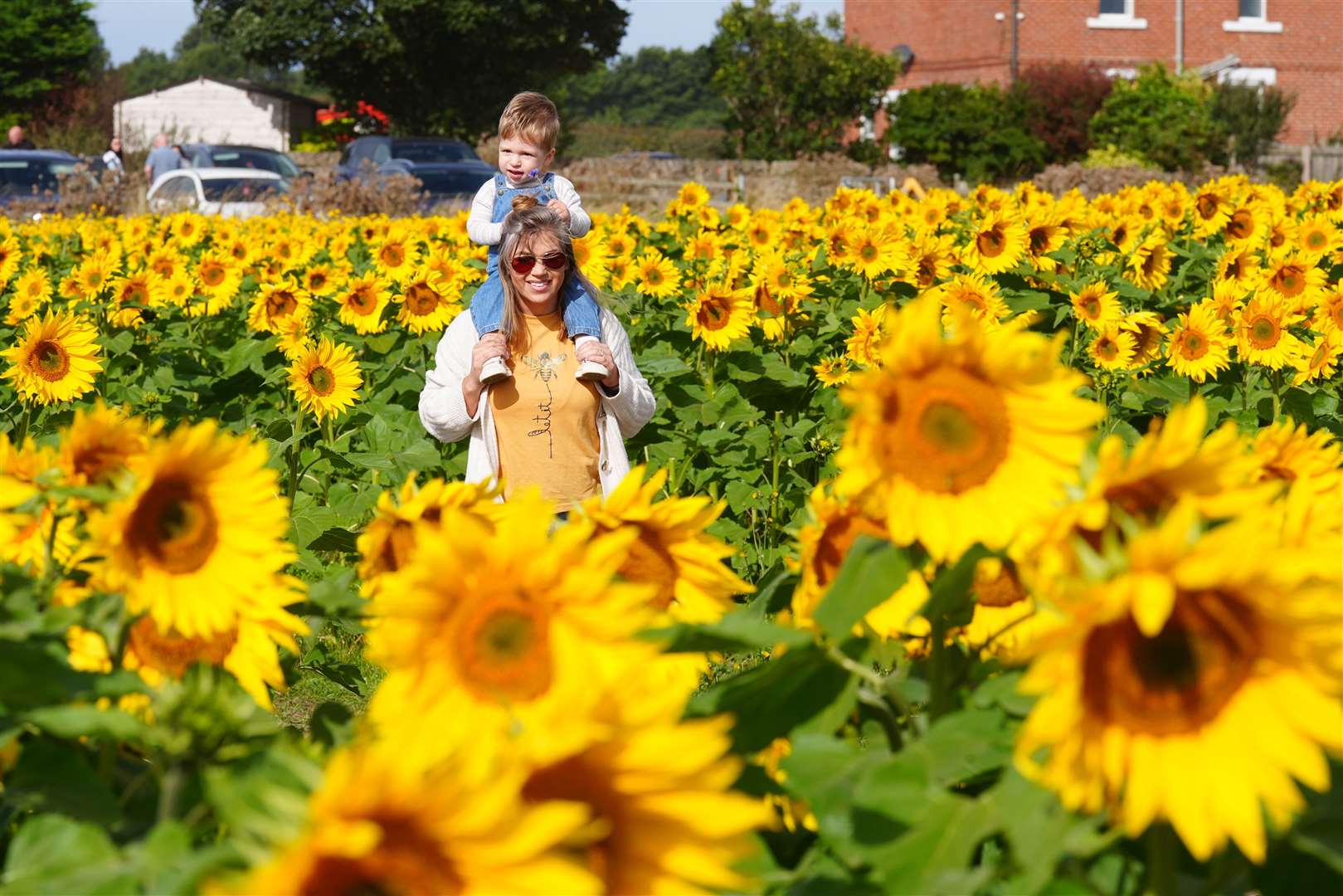 Ashley Speirs with Leo, (18 months old) look at the sunflowers at Mundles Farm in East Boldon, south Tyneside (Owen Humphreys/PA)