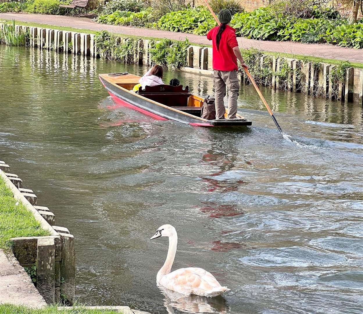 Boat tour operators say the yobbish behaviour on the River Stour is the worst it’s ever been. Picture: Ralph Lombart