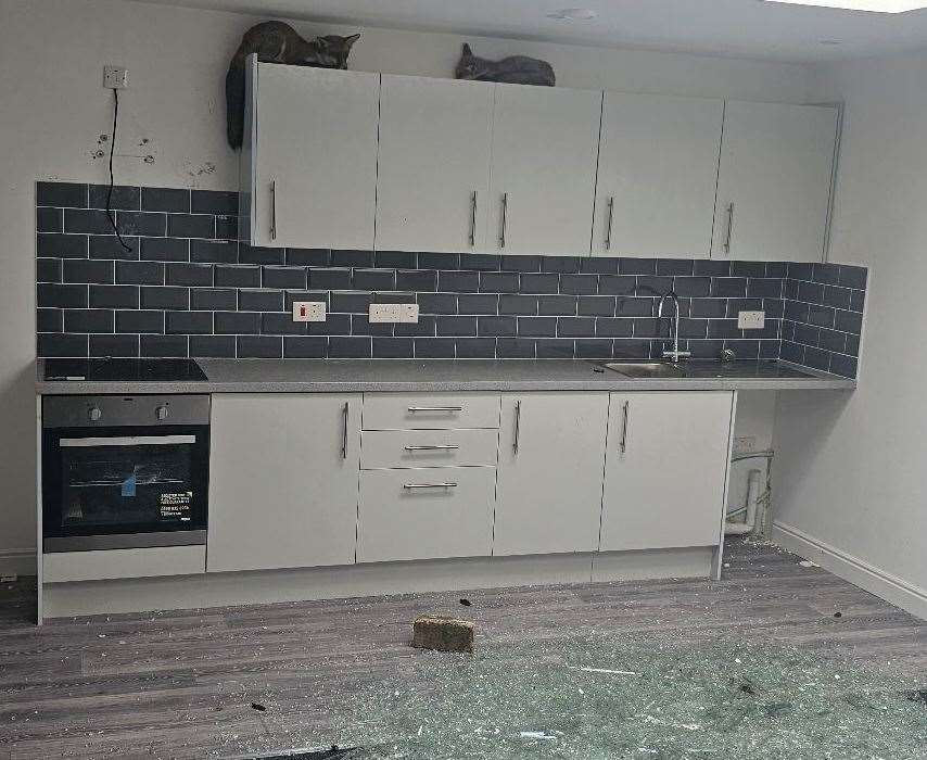 The two foxes were found on the top of kitchen cabinets in the Ramsgate flat. Picture: RSPCA