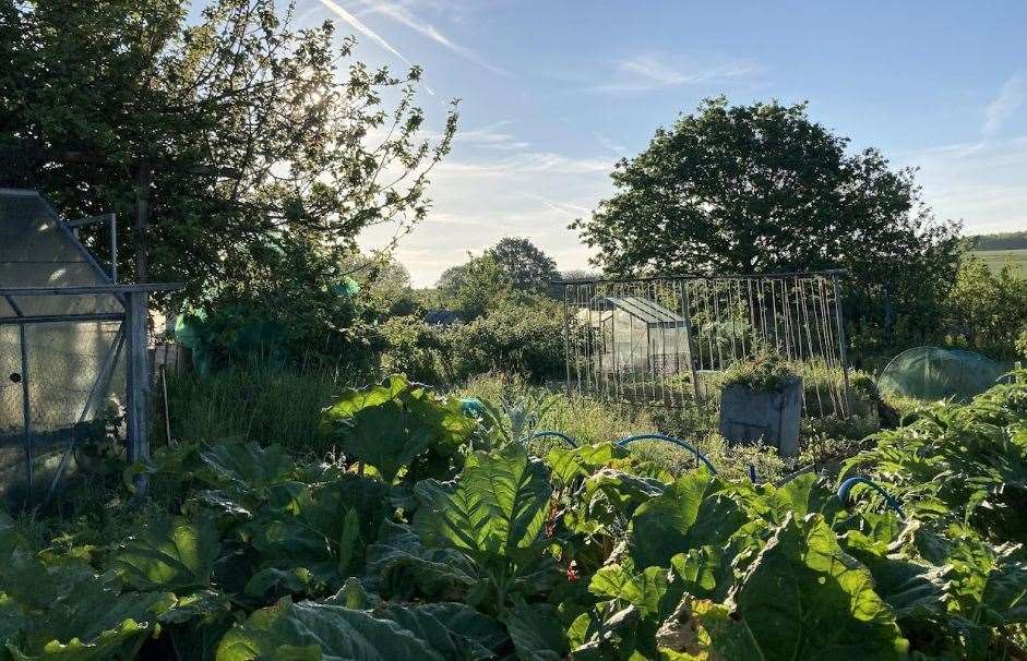 The issue of a lack of available allotments is regularly raised with the council