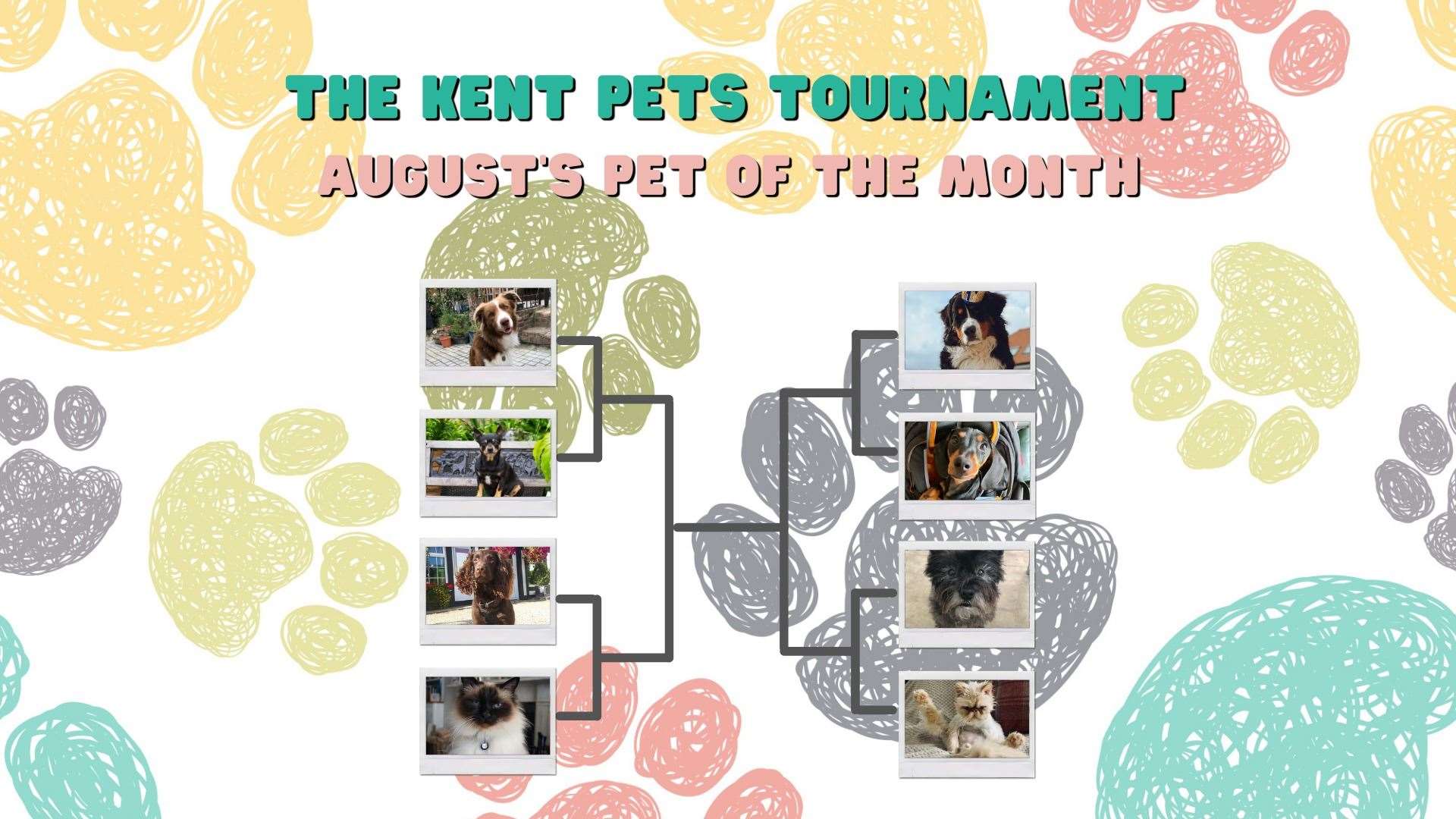 August's Kent Pets Tournament