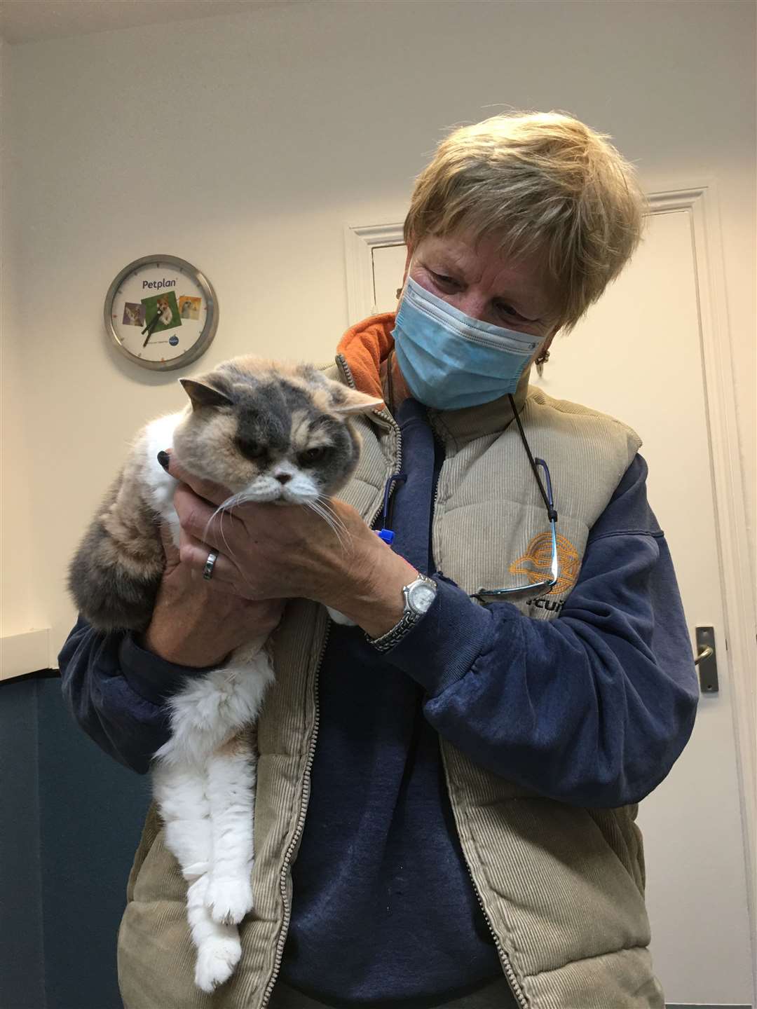 Lynne Bull with a poorly cat at the vets. Picture: Lynne Bull