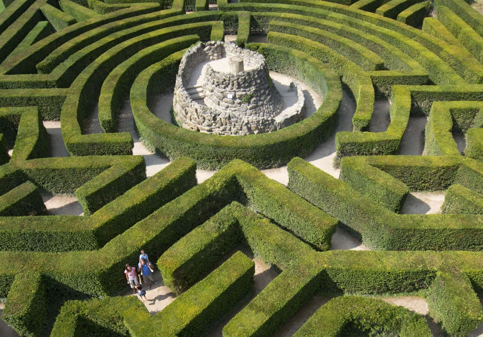 Leeds Bin Collections - Through the Maze