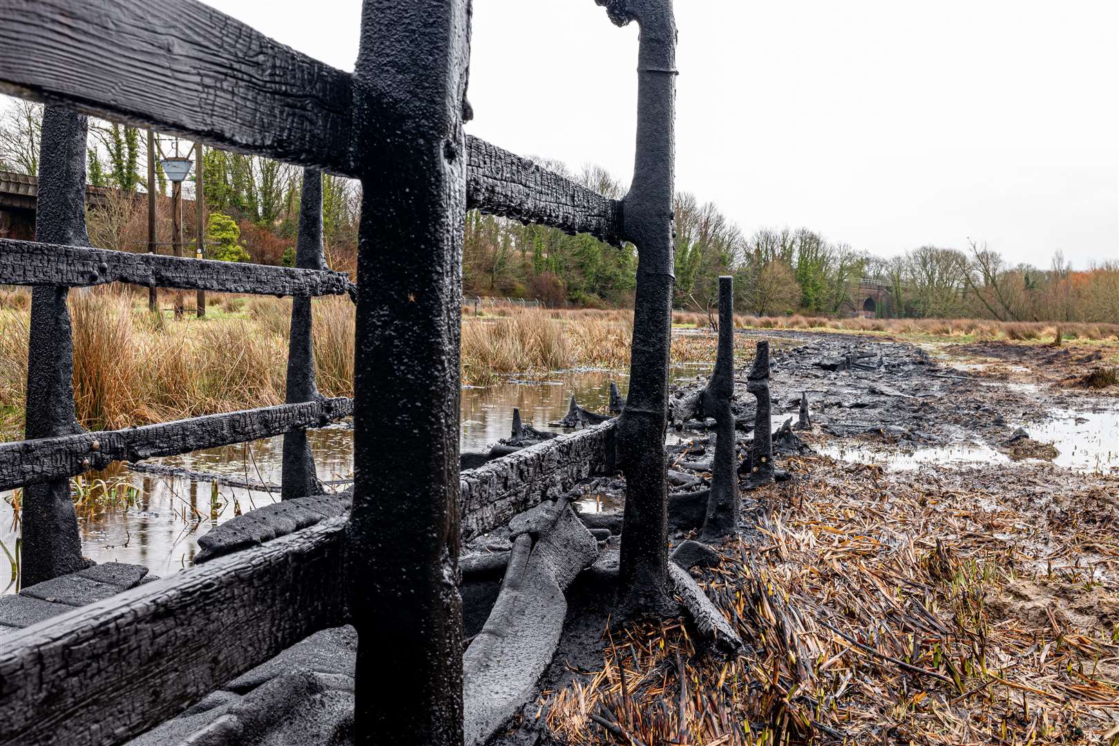 What remains of the start of the boardwalk. Picture: Sian Pettman (29358578)