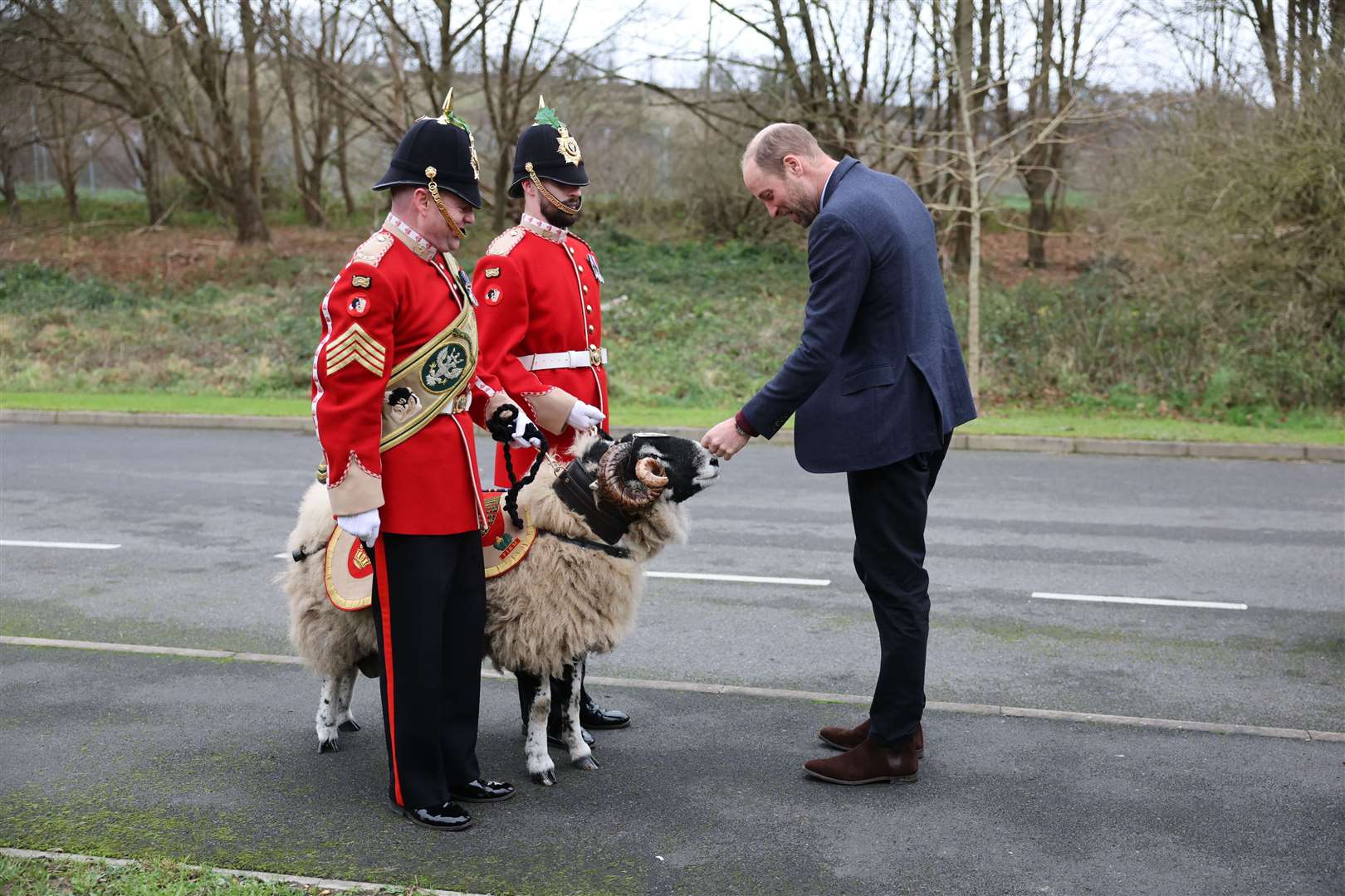 William meets regimental mascot Private Derby XXXIII, an 18-month-old Swaledale ram (Richard Pohle/The Times/PA)