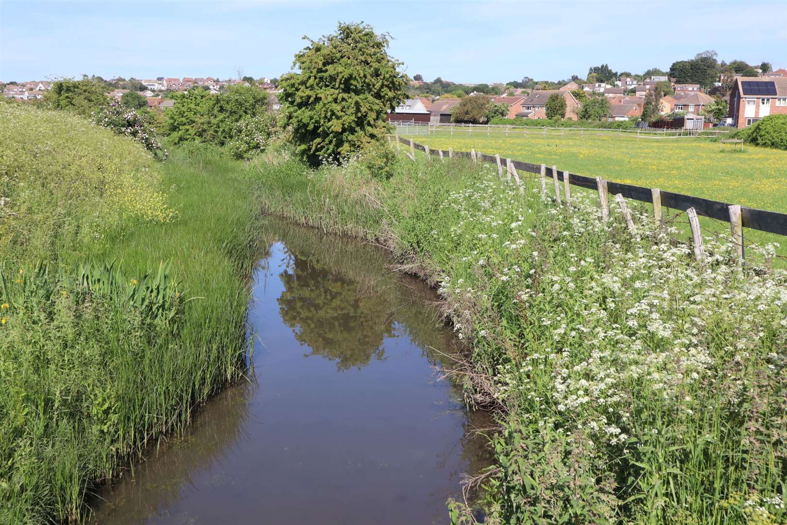 Oil spill reported into a ditch at the bottom of Marian Avenue, Minster, Sheppey