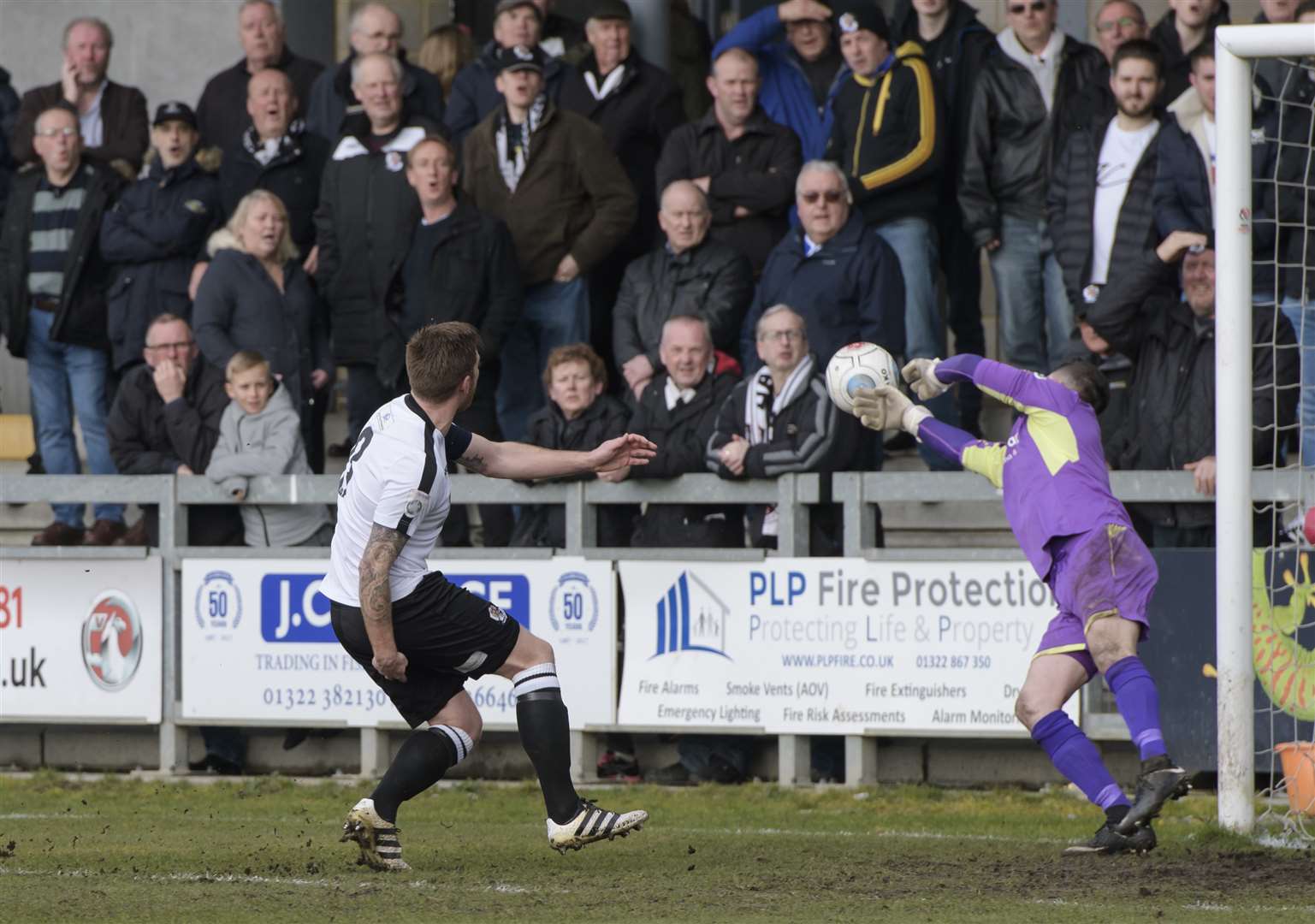 Elliot Bradbrook goes close against Poole Town Picture: Andy Payton