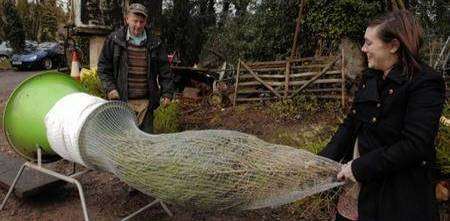 In the bag! Andrew Clough and Katie prepare one of the Christmas trees for dispatch at Courtlands Farm, Barham. Picture:Chris Davey