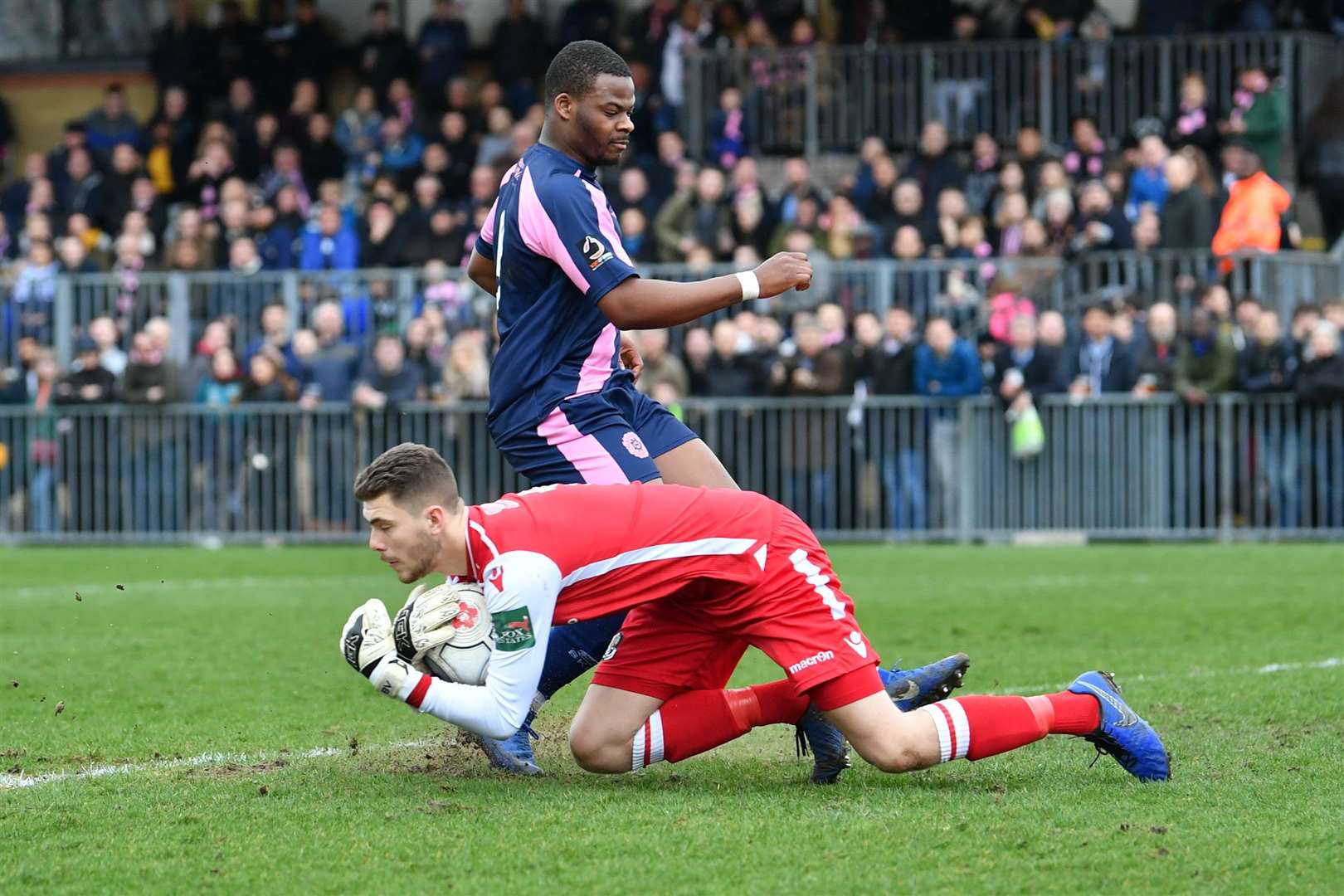 Goalkeeper Bailey Vose has joined Billericay Town Picture: Keith Gillard