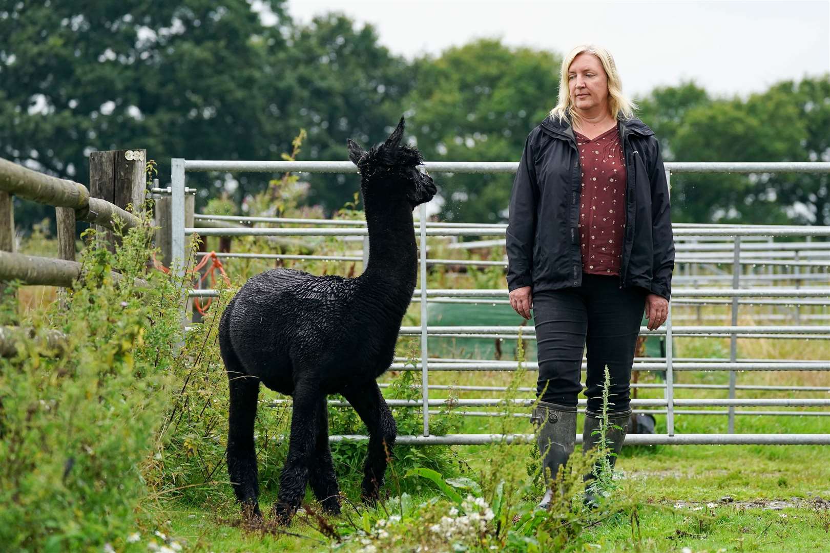 Geronimo’s owner Helen Macdonald wants further tests to be carried out (Jacob King/PA)